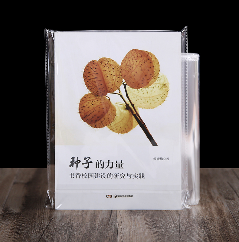 青岛91看片的网站厂家